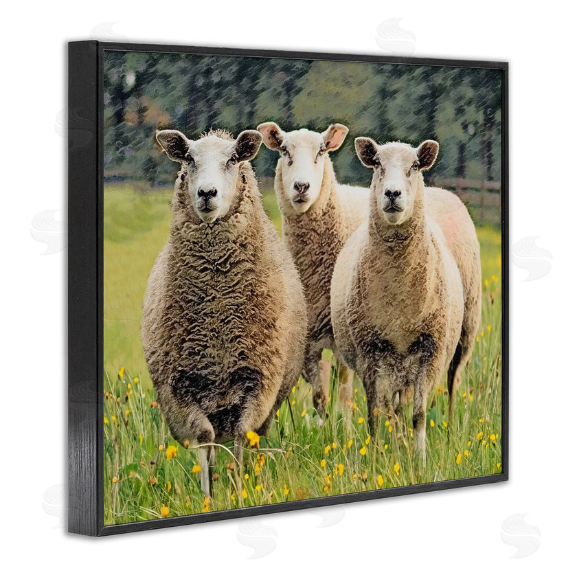 Sundance Group, LLC. | Sheep Grazing in Grass