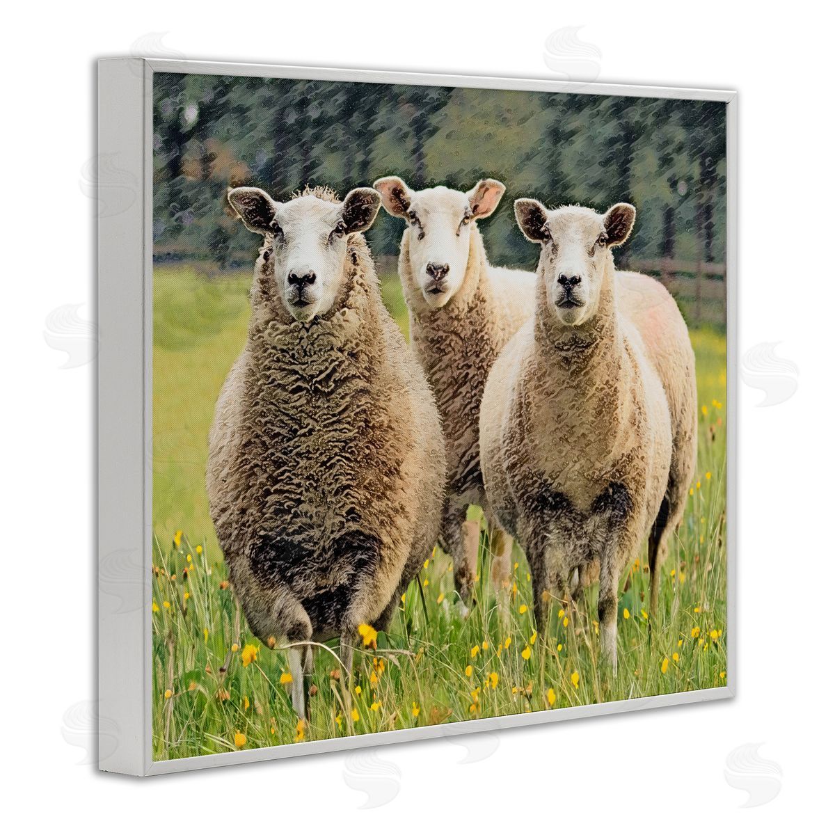 Sheep Grazing in Grass White Frame Print Wall Art, Home Decor by Sundance Group, LLC.