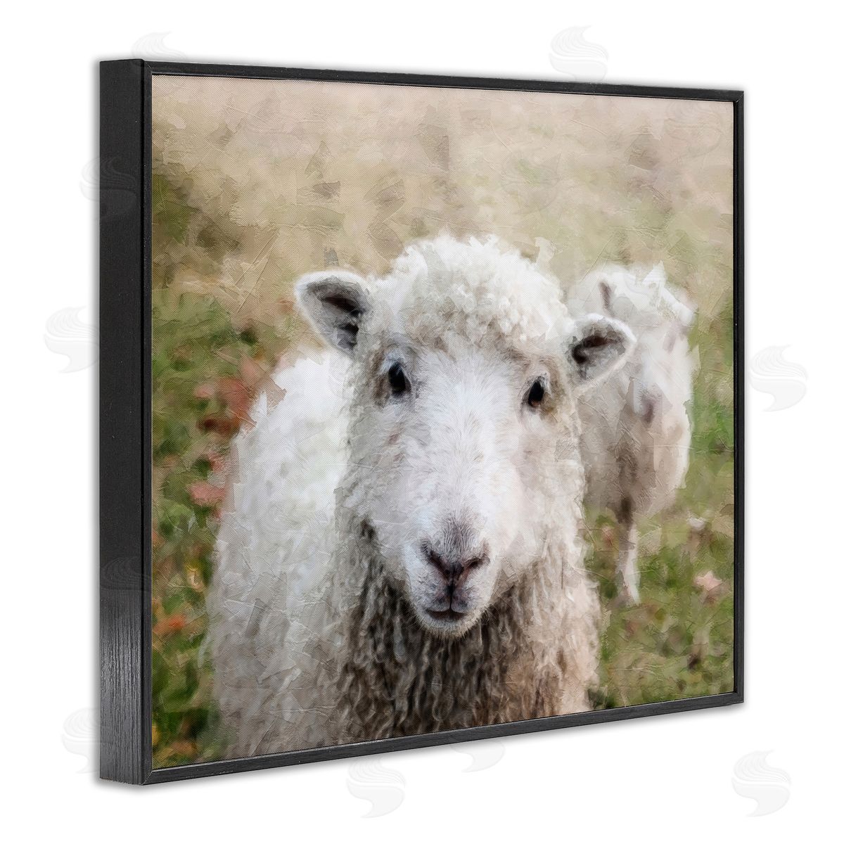 Close Up Sheep Gaze Black Frame Print Wall Art, Home Decor by Sundance Group, LLC.