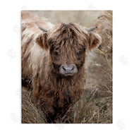 Sundance Group, LLC. | Baby Cattle with Reeds