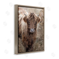 Sundance Group, LLC. | Baby Cattle with Reeds
