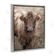 Sundance Group, LLC. | Baby Cattle with Reeds