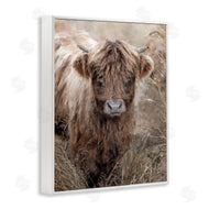 Sundance Group, LLC. | Baby Cattle with Reeds