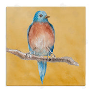 Lanie Loreth | Traditional Bluebird Perched