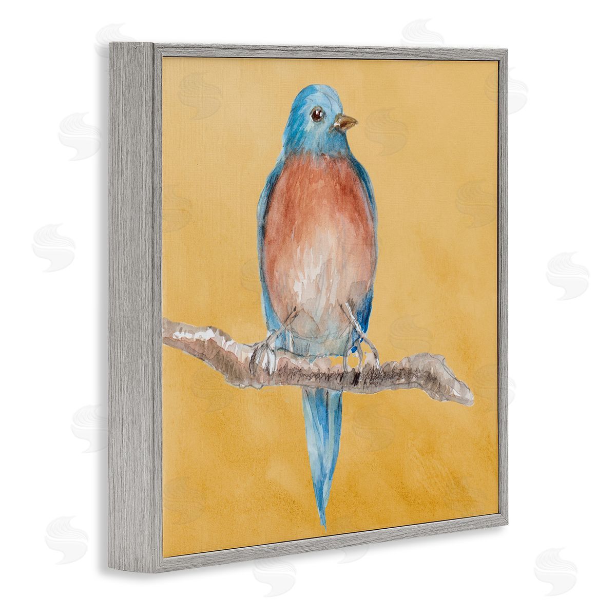 Traditional Bluebird Perched Grey Frame Print Wall Art, Home Decor by Lanie Loreth