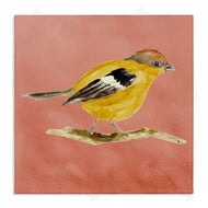 Lanie Loreth | Traditional Wren Bird