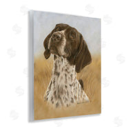 Victoria Schultz | Pointer Hunting Dog