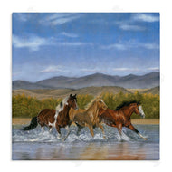 Victoria Schultz | Splashing River Horses