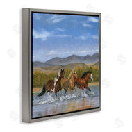 Victoria Schultz | Splashing River Horses