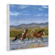 Victoria Schultz | Splashing River Horses