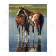 Victoria Schultz | Horse and Foal Splashing