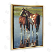 Victoria Schultz | Horse and Foal Splashing