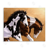 Victoria Schultz | Wild and Free Mares