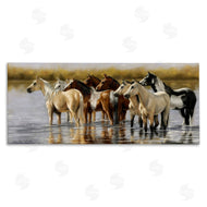 Victoria Schultz | Horse Herd Splashing