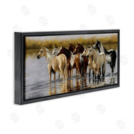 Victoria Schultz | Horse Herd Splashing