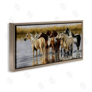 Victoria Schultz | Horse Herd Splashing