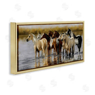 Victoria Schultz | Horse Herd Splashing