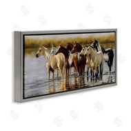 Victoria Schultz | Horse Herd Splashing