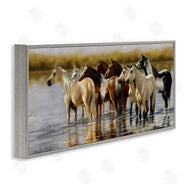 Victoria Schultz | Horse Herd Splashing