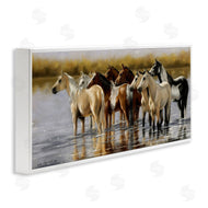 Victoria Schultz | Horse Herd Splashing