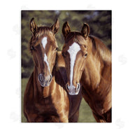 Victoria Schultz | Brown Horse Pair