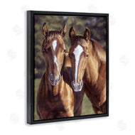 Victoria Schultz | Brown Horse Pair