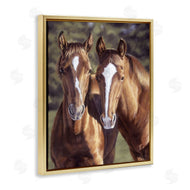 Victoria Schultz | Brown Horse Pair