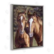 Victoria Schultz | Brown Horse Pair