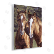 Victoria Schultz | Brown Horse Pair