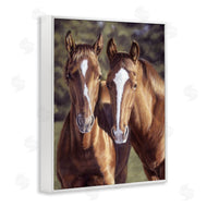 Victoria Schultz | Brown Horse Pair