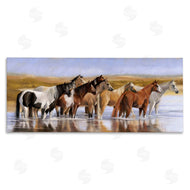 Victoria Schultz | Horse Herd in River