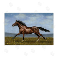 Victoria Schultz | Brown Running Mare