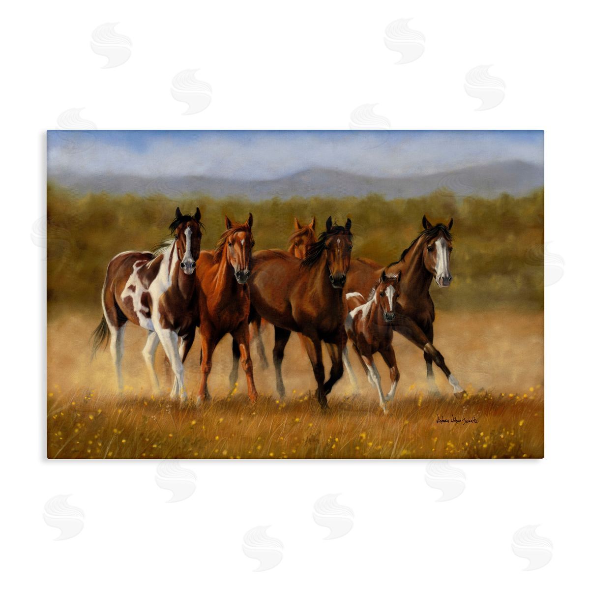 Foal's First Run Canvas Wall Art, Home Decor by Victoria Schultz