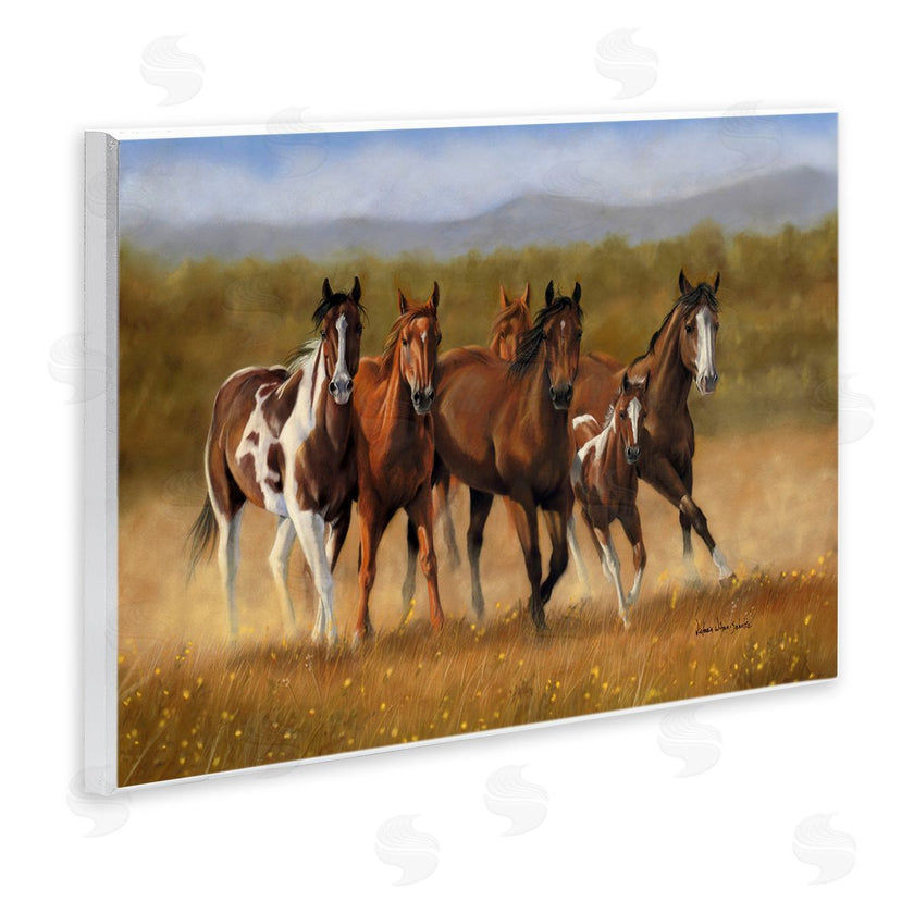 Victoria Schultz | Foal's First Run