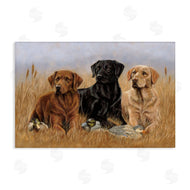 Victoria Schultz | Dog Trio and Ducks