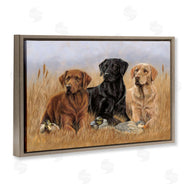 Victoria Schultz | Dog Trio and Ducks