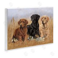 Victoria Schultz | Dog Trio and Ducks