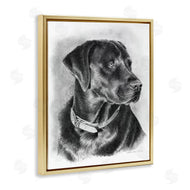 Victoria Schultz | Black Lab Drawing