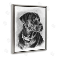 Victoria Schultz | Black Lab Drawing