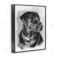 Victoria Schultz | Black Lab Drawing
