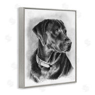 Victoria Schultz | Black Lab Drawing