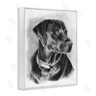 Victoria Schultz | Black Lab Drawing