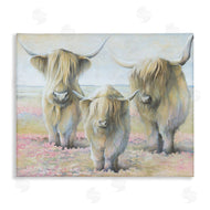 White Ladder | Gentle Cattle Trio