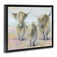 White Ladder | Gentle Cattle Trio