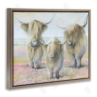 White Ladder | Gentle Cattle Trio