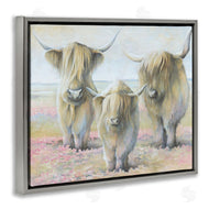 White Ladder | Gentle Cattle Trio