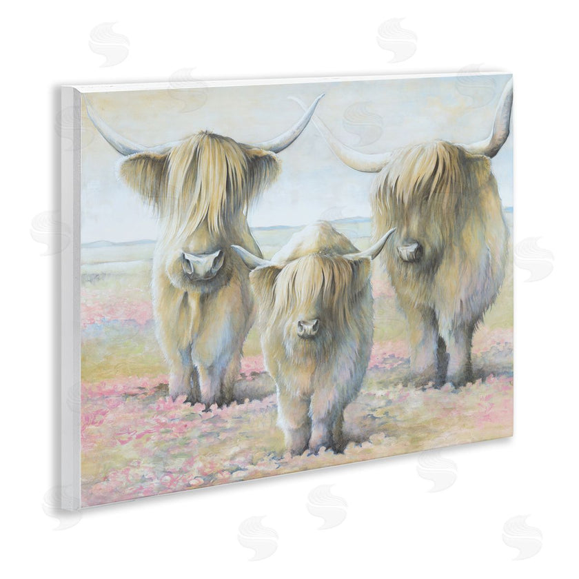 White Ladder | Gentle Cattle Trio