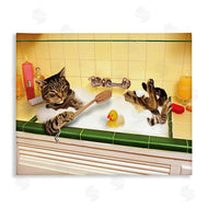 Lund Roeser | Cat Bathing in Tub