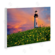Dennis Frates | Lighthouse and Floral Meadow