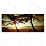 Susan Bryant | Sunlit Palm Trees
